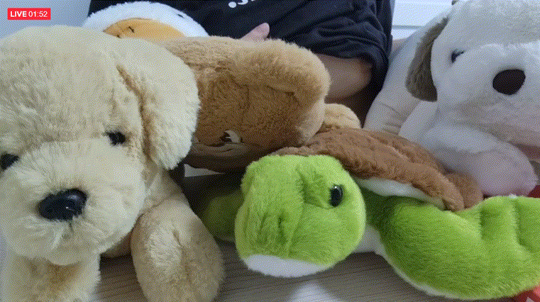 5d177dd1b8f5b077d0058f440ef9d253_1732962216_011.gif