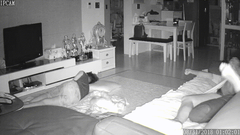 6c4fac514fba11444843626a60c7cadd_1730392243_9848.gif