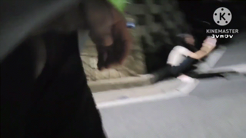 6e40a895f0c7922a55bd7dfb7add4f1e_1730610165_3088.gif