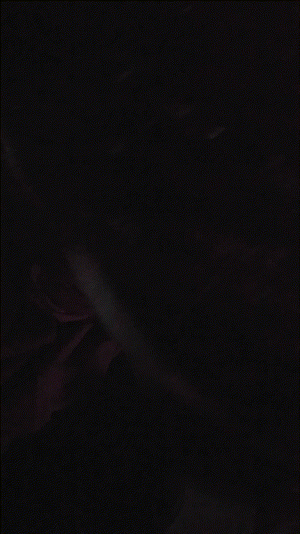 6e40a895f0c7922a55bd7dfb7add4f1e_1730610703_374.gif