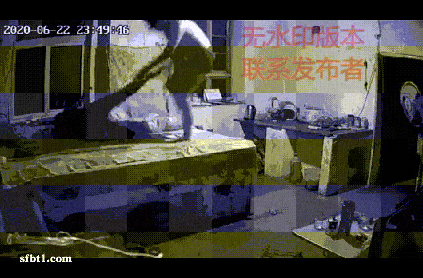 728c15c73c9040183ffc35fecc2a7589_1731493638_9058.gif