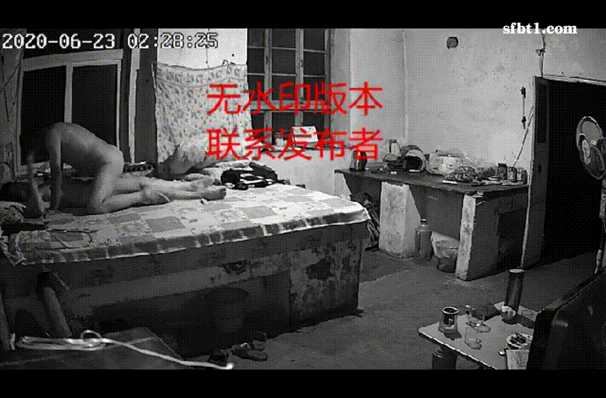 728c15c73c9040183ffc35fecc2a7589_1731493644_1515.gif