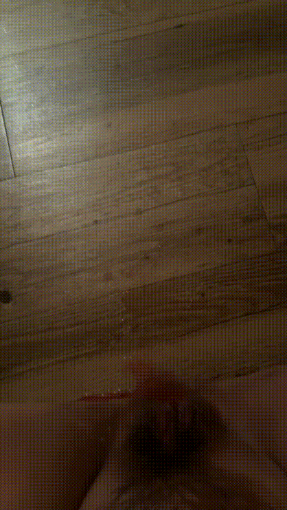 7538716d24615d39ad58ad578c818690_1731406287_8101.gif
