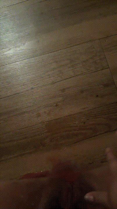 7538716d24615d39ad58ad578c818690_1731406290_4628.gif