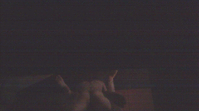 7eb50070787ffa317b76a6126b1c263c_1731237735_7672.gif