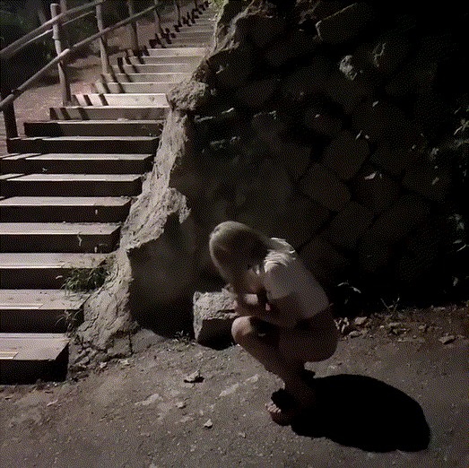 7eba78301206baaf8f5bbee657fd8539_1731650983_4734.gif
