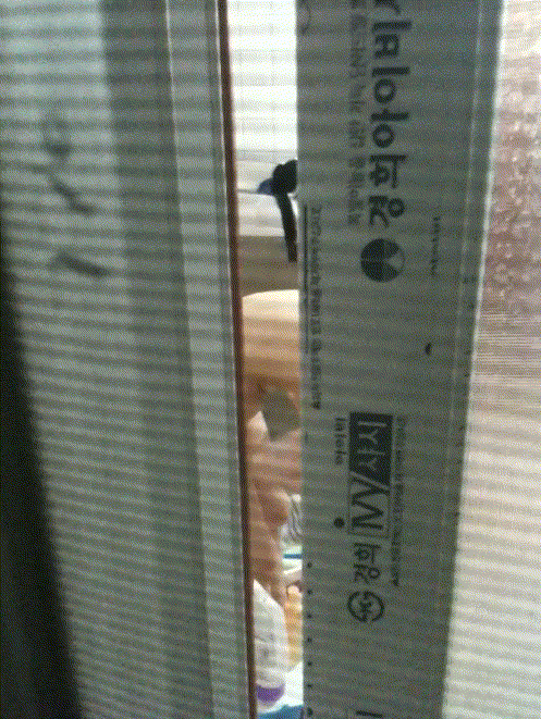 8195c11b43d076fb96b612917b2ff7d3_1730445559_5537.gif