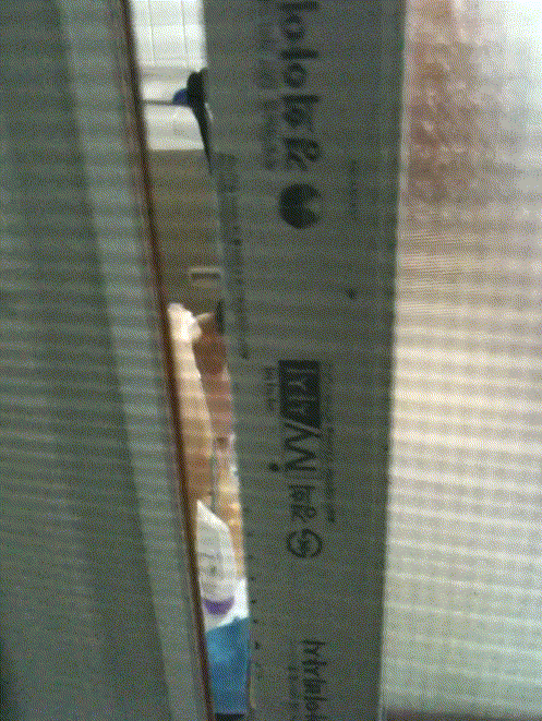 8195c11b43d076fb96b612917b2ff7d3_1730445561_5757.gif