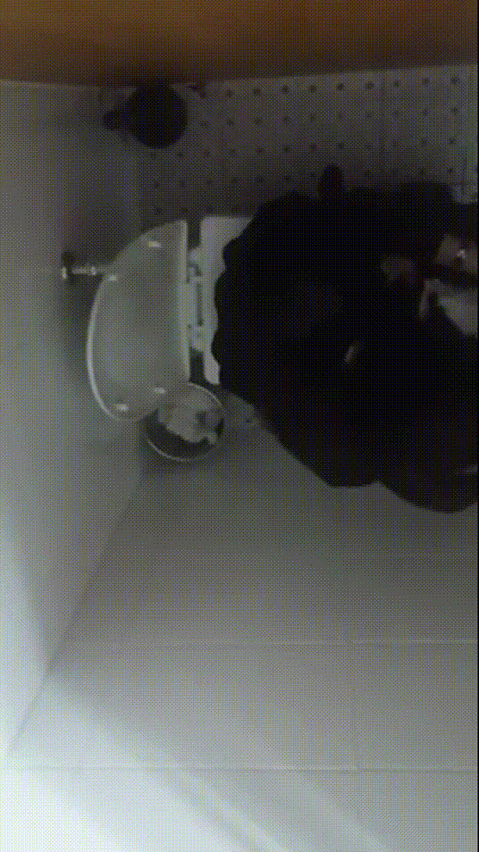 8195c11b43d076fb96b612917b2ff7d3_1730445639_5102.gif
