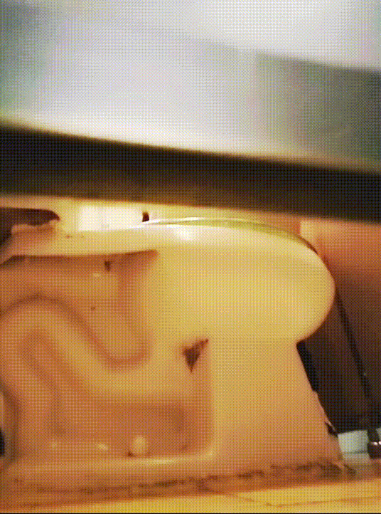 8195c11b43d076fb96b612917b2ff7d3_1730445641_3434.gif