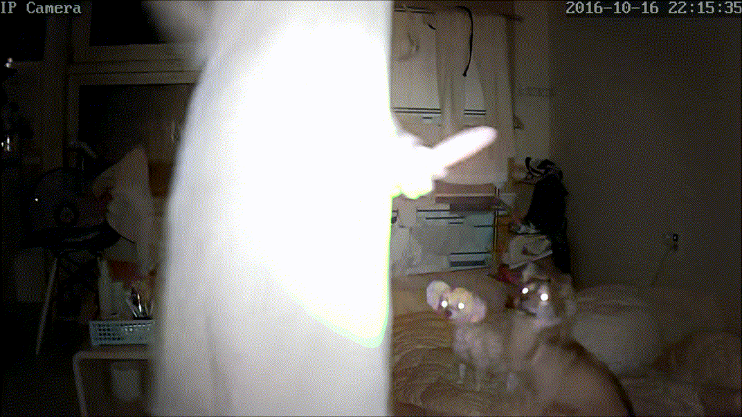 8195c11b43d076fb96b612917b2ff7d3_1730446247_4467.gif