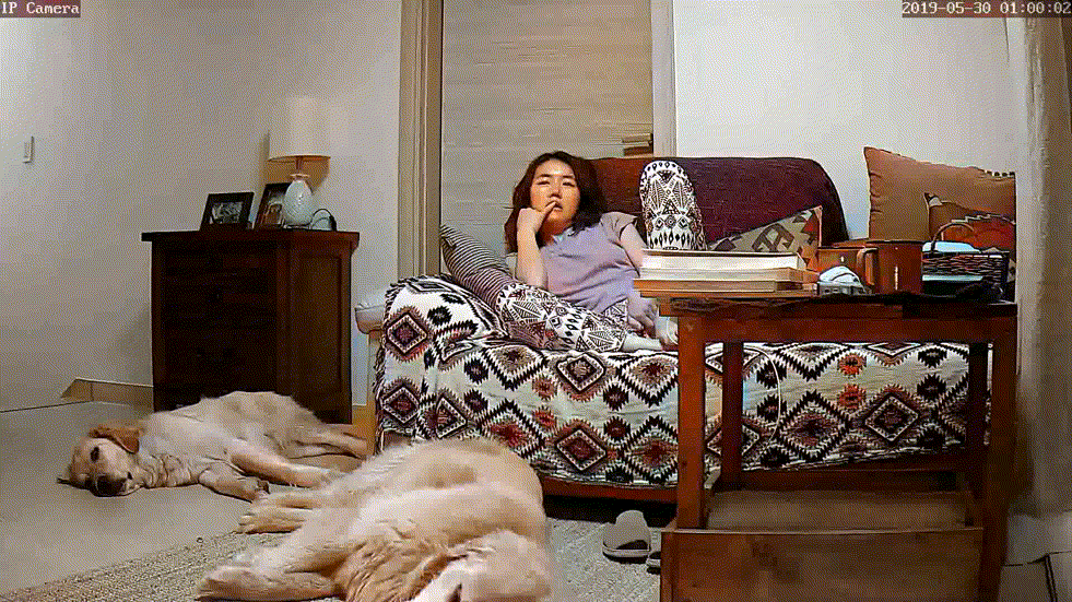 8195c11b43d076fb96b612917b2ff7d3_1730447515_239.gif