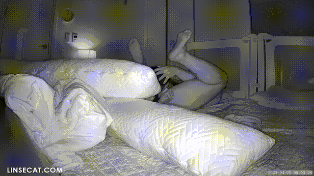 8330afd40e38bfc45488a09796b8c784_1732691404_0335.gif