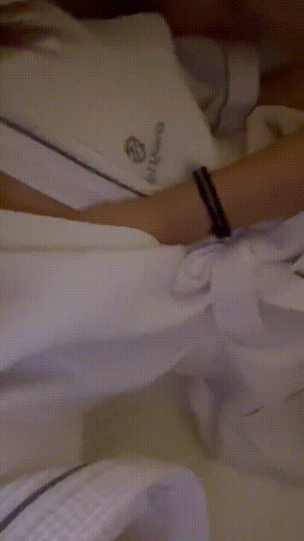 89a5142a0971d656f970b05fa5a09960_1730548024_2713.gif