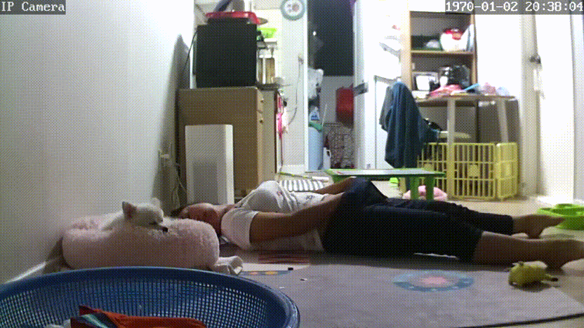 8e6413f196f38dc334515486c8e4afde_1730403010_0273.gif