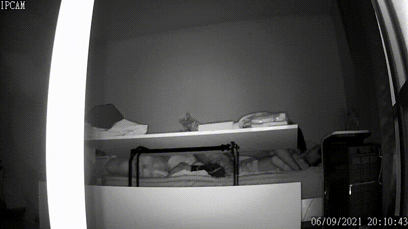 8fbcbfa69f2727072e627de1a746c320_1730452996_5609.gif