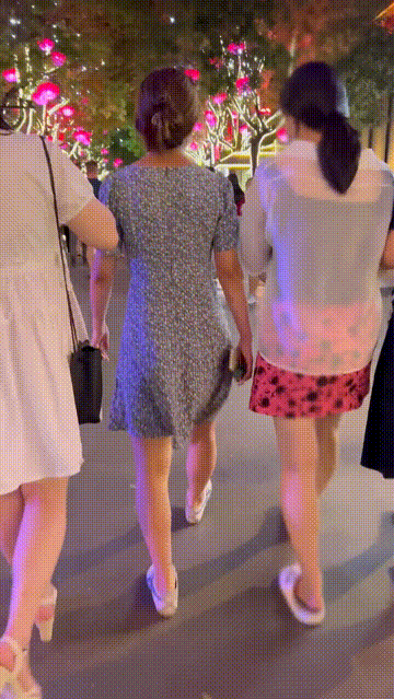 8fe542087033b746b4ff822fd8ae75a7_1730981229_4646.gif