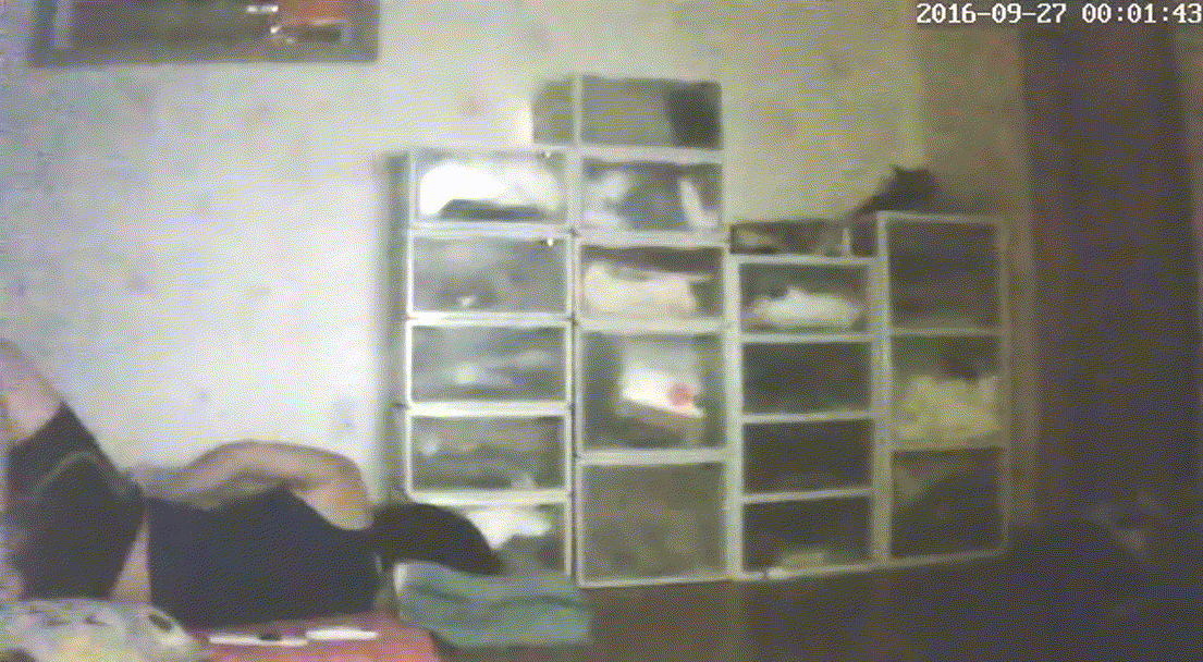 90fd7cafe25180a873f7641012611a51_1730439871_5337.gif