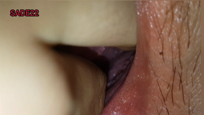 919f86b10555c93c3dca566810b382e3_1730633170_2577.gif