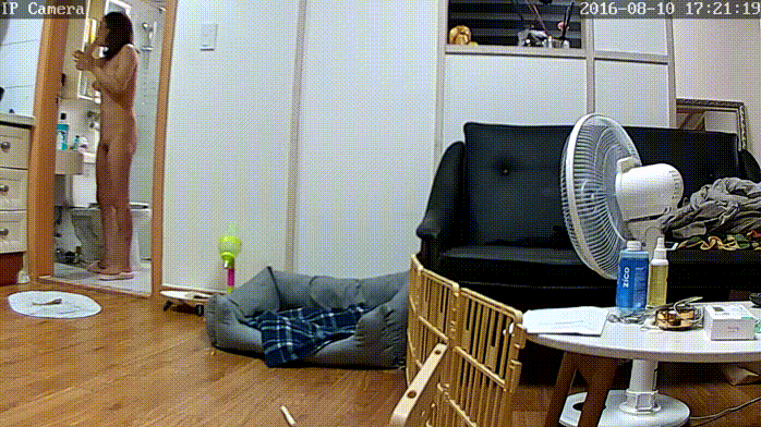 929afd6744b02bcf53c0805c1ed994c7_1730398097_5881.gif