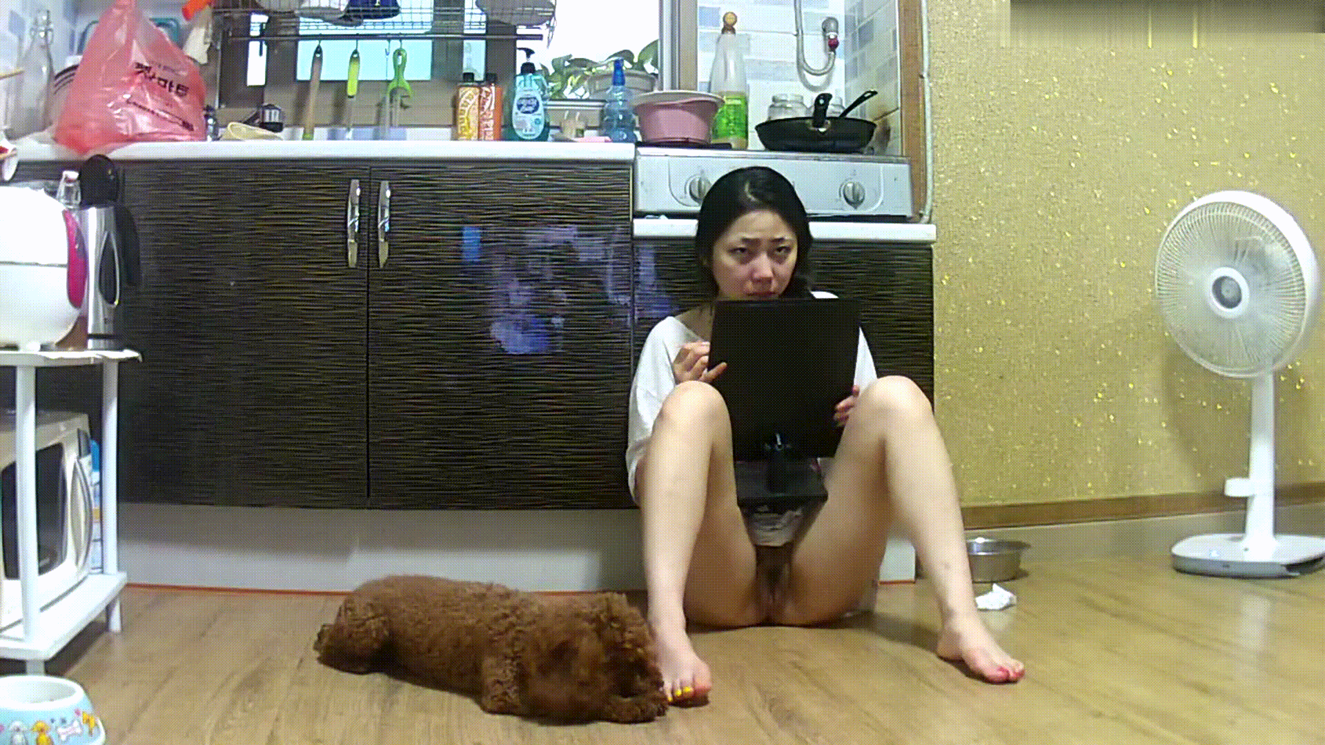 952c178d88a84dcfef2123185811e0ef_1730447579_8201.gif