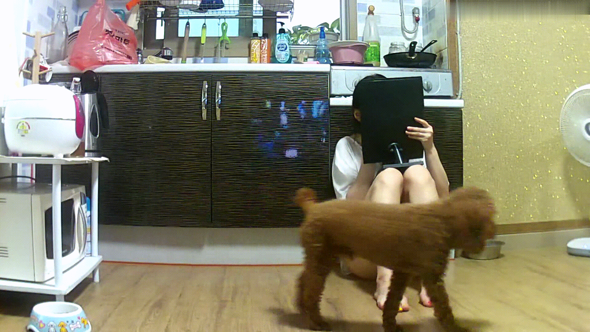 952c178d88a84dcfef2123185811e0ef_1730447584_1732.gif