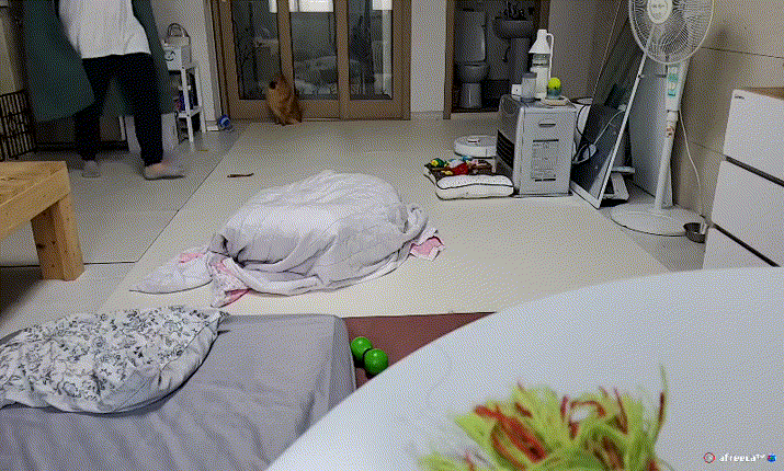 952c178d88a84dcfef2123185811e0ef_1730448050_5926.gif