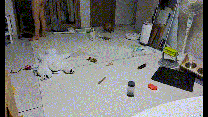 952c178d88a84dcfef2123185811e0ef_1730448058_4556.gif