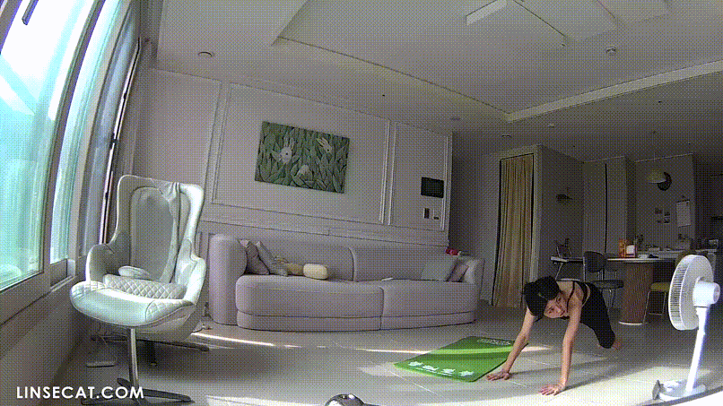 973faf4541d5cb903d20206a296d7fb3_1732853913_1082.gif