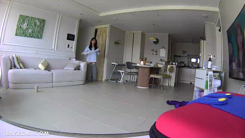 973faf4541d5cb903d20206a296d7fb3_1732853919_3259.gif
