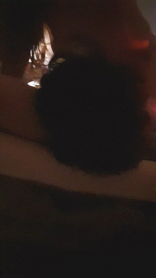 97901562567d7ac050e06bfc7ff232ce_1731653674_2835.gif