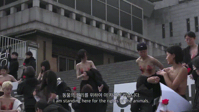 99de8a864c04b6a0c8e65baec0ffc9b4_1731409654_7482.gif