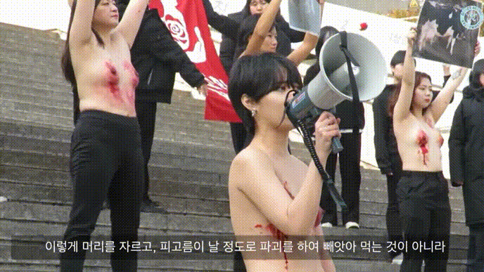 99de8a864c04b6a0c8e65baec0ffc9b4_1731409668_4414.gif