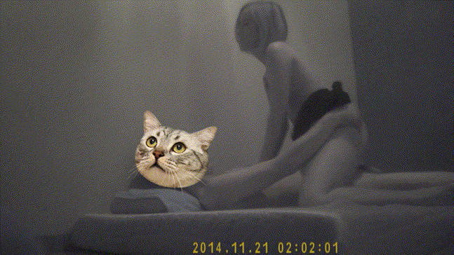 9a07d9f879dc7f9daa34c0ddec59b4cb_1730815201_6453.gif