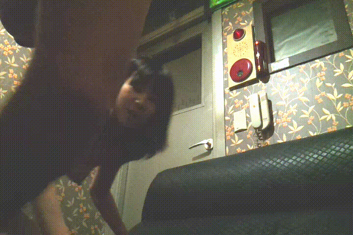 9a85f3bc45fe1f7ec8771be12939ec83_1731649037_3256.gif