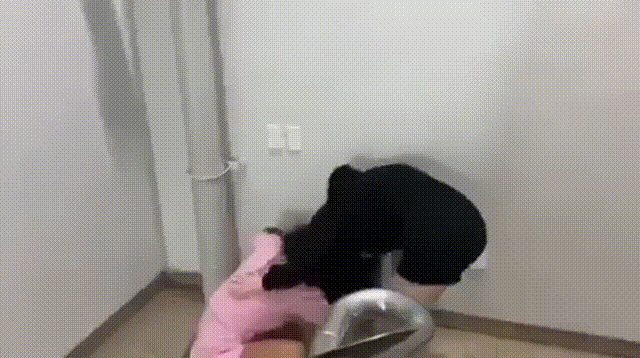9eee64bc2b291ccfdea66a17d26a73e2_1731052516_9645.gif