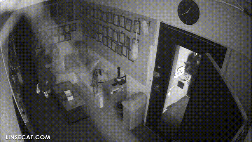 9f3dd8e8ecb981ba8c22c282d6dd01ac_1730654173_5117.gif