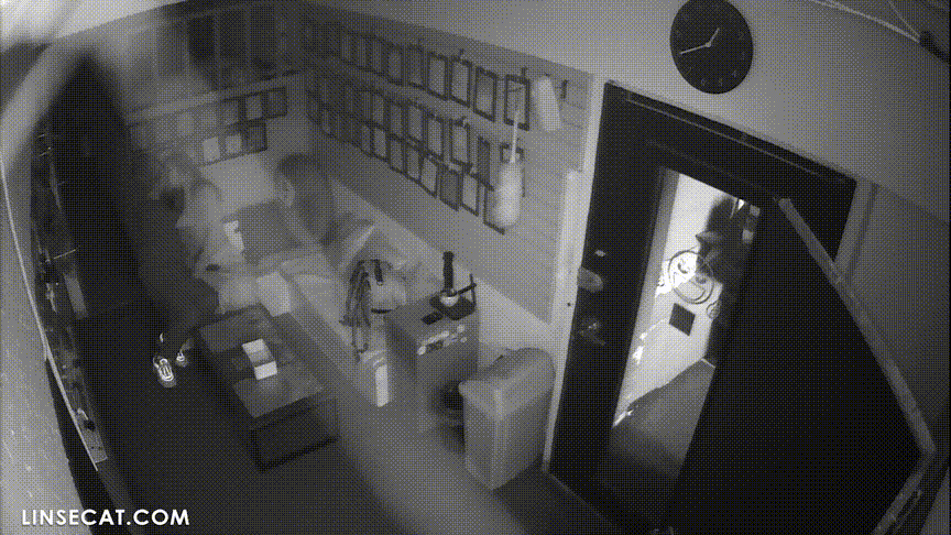 9f3dd8e8ecb981ba8c22c282d6dd01ac_1730654176_2514.gif