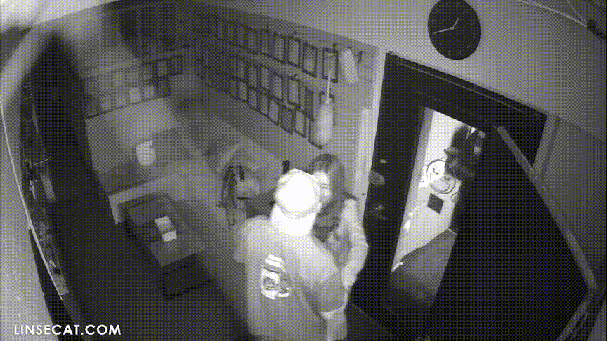 9f3dd8e8ecb981ba8c22c282d6dd01ac_1730654178_647.gif
