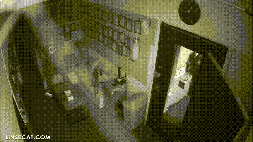 9f3dd8e8ecb981ba8c22c282d6dd01ac_1730654182_347.gif