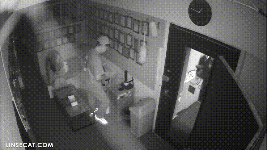 9f3dd8e8ecb981ba8c22c282d6dd01ac_1730654184_331.gif