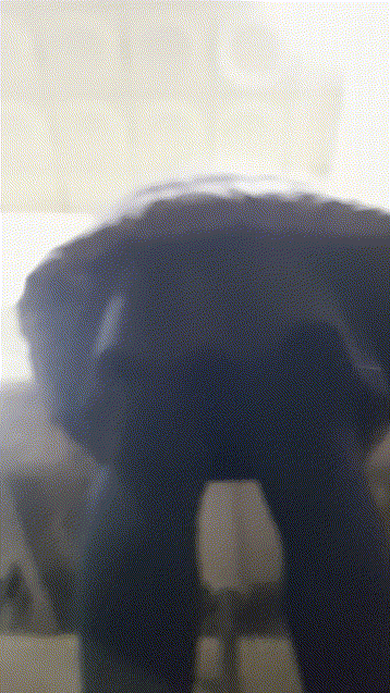 a7ed0079175dfa258a94ba39dc9771a8_1730456871_2761.gif