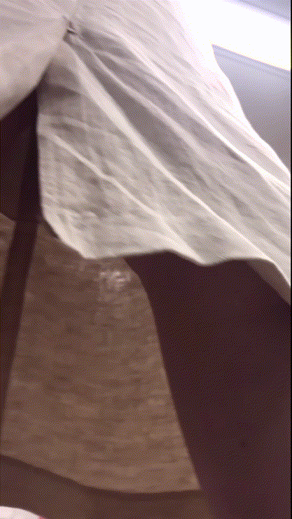 a7ed0079175dfa258a94ba39dc9771a8_1730457367_3339.gif