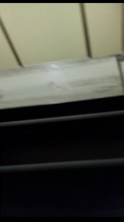a7ed0079175dfa258a94ba39dc9771a8_1730457543_5897.gif