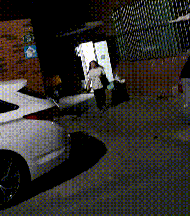 a7ed0079175dfa258a94ba39dc9771a8_1730457794_0706.gif
