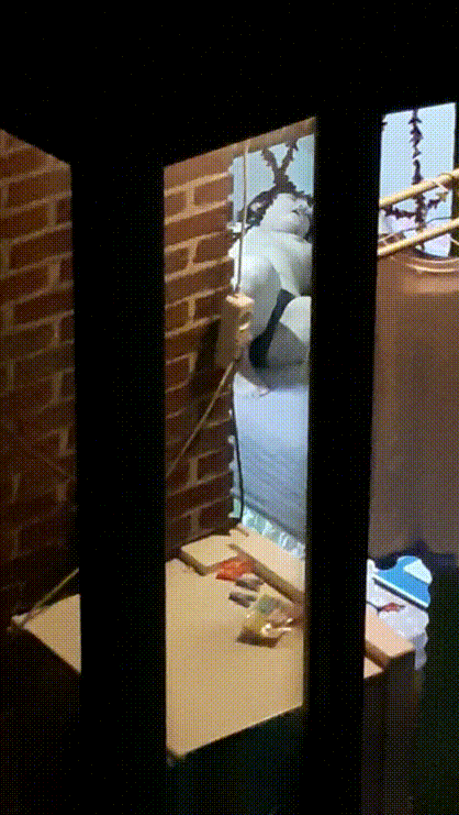 a7ed0079175dfa258a94ba39dc9771a8_1730457798_0799.gif