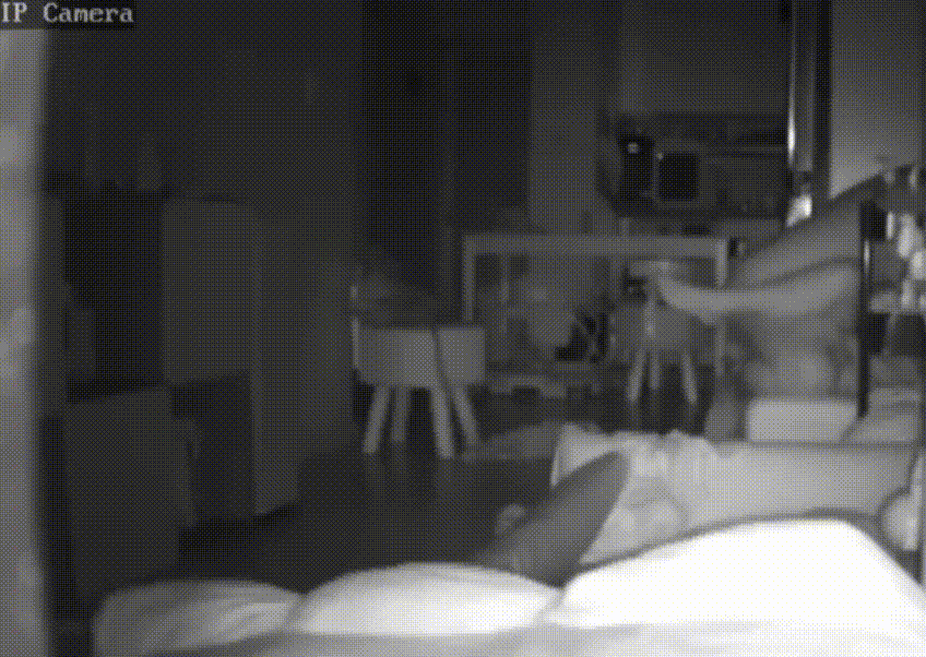 b26d6f21daee7275f0b71e22144b1e63_1730445410_6132.gif