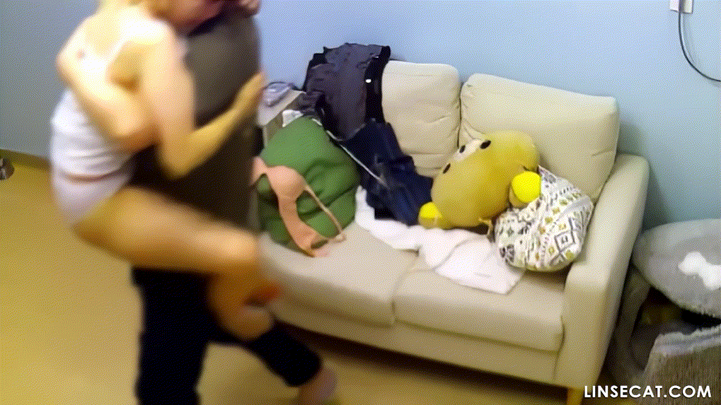 b44faef8f99432a4b63f685417cf8764_1730655290_5853.gif