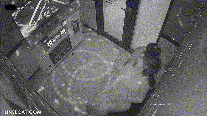 ba1b895e4f3dad3c2b58204df6ea8536_1732854862_3157.gif