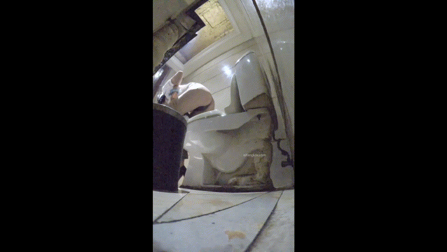 bc29fdf778a3ba3593e8ce4f461ea297_1731841652_7345.gif